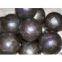 forged steel balls for sale in Australia