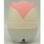 Mini Ultrasonic Humidifier