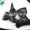 Fashionable Carnival Dancing half face lace Mask/Masquerade Party Mask