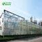 Cheap multi span agricultural glass greenhouse for tomatoes