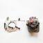 ISLe pump 3973228 gear pump 4088866 fuel  pump 5449921 5476587 5473199