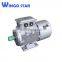 Cast Iron Frame Three Phase Electric AC Induction Motor