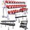 Dumbbell Steel Rack in Gym Fitness Equipment
