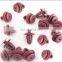 Customized Plastic Injection Parts OEM Molded Vehicle Fittings Nylon Clips Auto Rivet Fasteners
