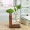 rustic Tabletop Hydroponics flower glass vase