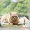 New Design Hanging Corrugated Paper Scratches Post Mounted Cute Bed Cat Window Hammock