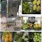 Automatic industrial potato peeling & washing machine