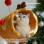 Meow Love Multifunctional Christmas Elk Cat Climbing Rack Small Family Special Nest Scratching Bed Non-Occupied Climbing Rack Pets