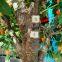 Wholesale Potted Orange Fruit Plant - Custom Height 150-500CM, PE Foliage & ECO Pot, Low Maintenance