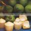 fresh coconut