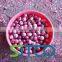 Fresh Red Onion 2015 New Crop From SITCO