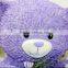 bear resin piggy coin jar creative tin piggy bank