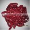 2013 popular selling dried chile
