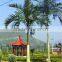 2016 new products wholesale garden decoration Artificial coconut trees