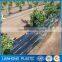 Discount Chinese Bio-degradable PP Woven Softextile Weed Mat