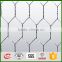 alibaba china supplier hexagonal chicken wire/BWG24 1/2''PVC coated hexagonal wire