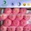 Popular Wholesale Spain EPE Foam Extruded Mesh Sleeve Net Packaging Fresh Fruits