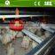 China poultry farm galvanized h type broiler chicken cage