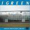 Venlo type flower multi span commercial greenhouse