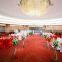 Machine woven Axminster Hotel Banquet Ballroom carpet