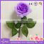 Promotion Artificial Flower Rose Heads for Flower Wall