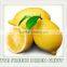 Fruit powder Freeze dried fruit juice powder lemon fruit powder