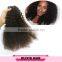 Long Lasting Double Weft Virgin Mongolian Afro Kinky Curly Hair Weave