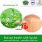 Green Tea Extract (-)-Epicatechin 90%,95%,98%
