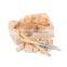 Small Dinosaur skeleton dig kit