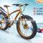 From Professional Manufacture Good Quality Snow Bike/20 Inch Snow Bicycle