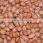 Indian Long Shape Peanuts / Peanut Kernel Bold 50-60 COUNT