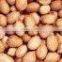 Groundnuts