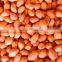 GROUNDNUT KERNEL JAVA 60/70