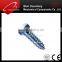 Zinc Plated DIN571 Hex Head Wood Screw