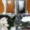 Best Broken Bee Pollen