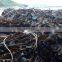All Types of Seafood Dried Seaweeds,hot Sale Kelp,dried Laminaria,seaweed Price Raw Kelp,dried Kale