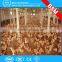 Feeders for Chicken Cage / poultry chicken feeders and drinkers/ mining feeders