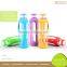 In Stock Borosilicate Glass Drinking Bottle 16oz
