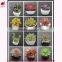 Mini artificial succulent plants artificial succulents tropical plant wholesale