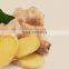 Zingiber officinale Extract