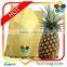 Taiwan Factory Fruit Growing Protection Bag Pineapple Bag
