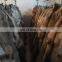 High quality real coyote fur wholesale natural coyote fur