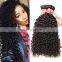 Best Selling Virgin brazilian Kinky Curly Hair grade 9a virgin hair no tangle no shed hair weave