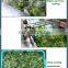 Air bubble fruit washing machine strawberry washer machine mushroom washing machine for food processing factory