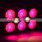 1800W Led Grow Light Full Spectrum Greenhouse and Garden For Indoor Plants