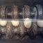 Brush type chick egg cleaning machine / duck egg washing machine / goose egg washing machine