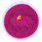 Organic Dragon Fruit Powder Supplier