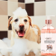 New Arrivals Shampoo Natural Anti Itch Grooming Puppy Pet Shampoo Organic Dog and Cat