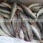 Whole Round Pacific Mackerel Fish Mackerel Prices From China
