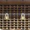 Hot selling Bell featured 110V conical pendant light